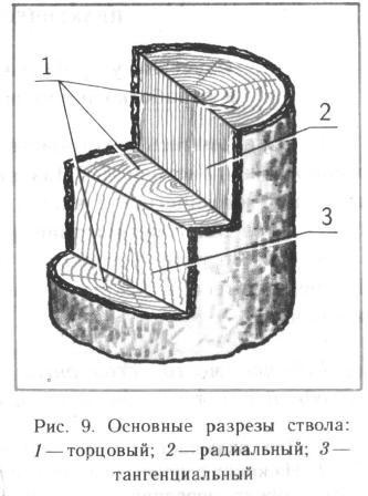 Drevesina- strukturális természetes (fa) Drevesina- természetes strukturális