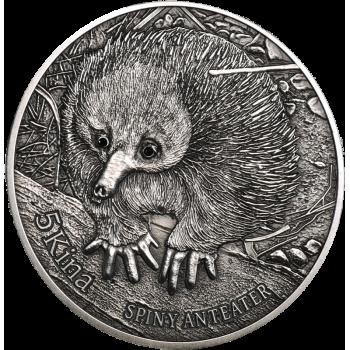 Echidna (állat) fotó, leírás, élőhely (fotó) Echidna (állat) fotó, leírás, élőhely