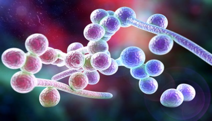 Flucostat használati utasítást rigó nők (szájpenész) Flucostat használati utasítást rigó nők