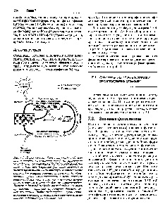 Photoautotrophs - Referencia vegyész 21