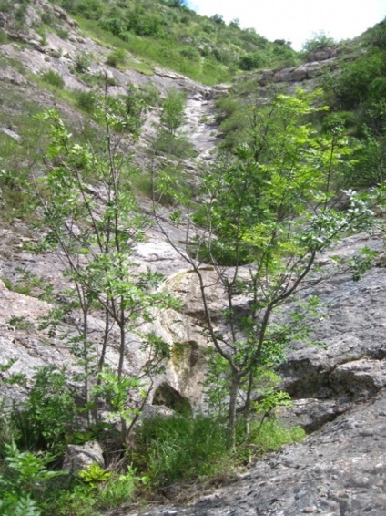 Гора Чатир-даг в криму фото, печери, як дістатися