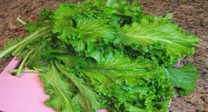 Mustár saláta levelek hasznos tulajdonságok és az egészségkárosodás