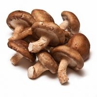 Gomba - előnyei és hátrányai (gomba) Gomba - előnyei és hátrányai