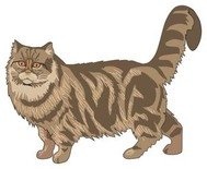 Toy cat grafika munkadarab terhelés 923 klip művészet (oldal 1) (macska játék clip art) Toy cat grafika munkadarab terhelés 923 klip művészet (oldal 1)