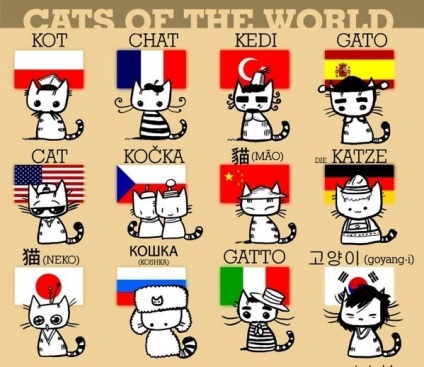 Milyen szavakat várják, várják, hogy a macskák a különböző országokban