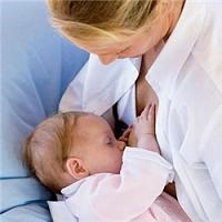 Mi a legjobb baba tengeri orrpolip (tengeri) Mi a legjobb baba tengeri orrpolip