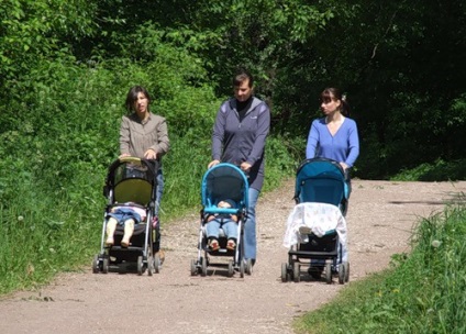 Mi a legjobb baba tengeri orrpolip (jobb) Mi a legjobb baba tengeri orrpolip