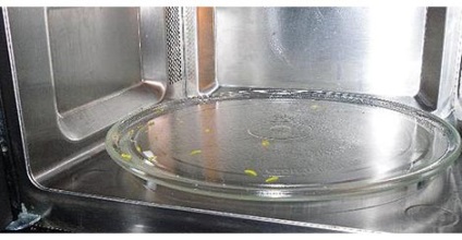 Mi lefedettség mikrohullámú sütő belsejében jobb titkok eladónak háztartási gépek