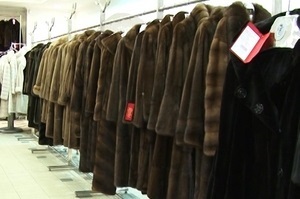 Hogyan lehet megkülönböztetni a görög nyérc kabátot a kínai belföldi trükkök