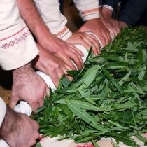 Hogyan készüljünk fel a téli tea fűz (fűz) Hogyan készüljünk fel a téli fűzfa tea