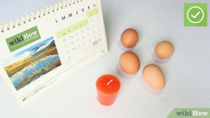 Як просвічувати яйце
