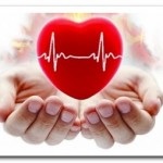 Hogyan lehet a szív egészséges egészséges életmód