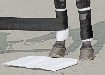 Hogyan védi a ló lábát - Bandage