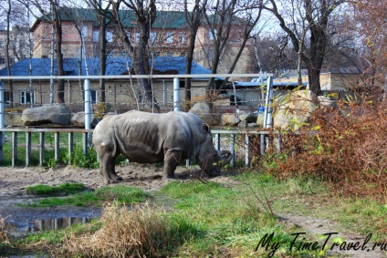 Kijev állatkert fotók, árak, hogyan lehet eljutni