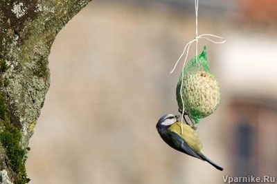 Szárnyas védelmi rendszer, a mérete birdhouses és adagolók