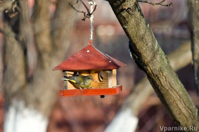 Szárnyas védelmi rendszer, a mérete birdhouses és adagolók