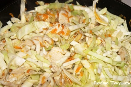 Csirke filé káposzta-lépésre recept fotók (filé) Csirke filé káposzta-lépésre recept fotókkal