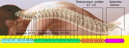 A vese kezelési gyógymasszírozás pont, otthon komplex (pont) Kezelése vese masszázs gyógyító pontot otthon komplex