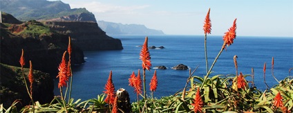 Madeira - személyes útmutató - Blozhuyu én! (Personal) Madeira - személyes útmutató - Blozhuyu én!