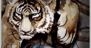 Férfi tigris, Horoszkóp