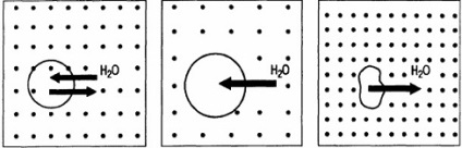 Megsértése ozmolalitás (hyperosmolaris állami és hypo)