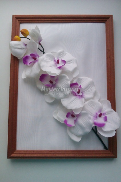 Volumetrikus panelek - Orchid - rögtönzött (térfogat panelek) Térhatású panelek - Orchid - rögtönzött