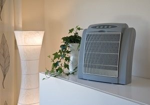 Légtisztító Allergy and Asthma luxus vagy szükségszerűség (tisztító) Légtisztító Allergy and Asthma luxus vagy szükségszerűség