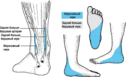 Zsibbadás a lábakat a térd a lábfej - Okok és kezelés