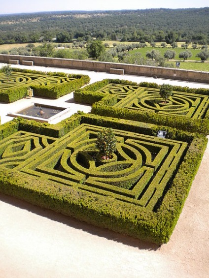 Ground kert ágy a rendszeres (kert) Parterre ágy a rendszeres kert