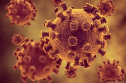 Méhméreg megöli a HIV közben megőrizve az egészséges sejteket