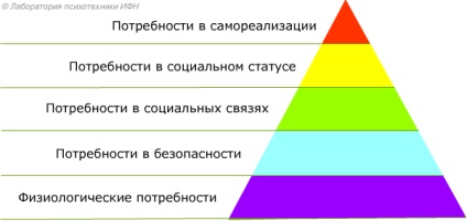 Maslow piramis igények és vizsgálati Maslow