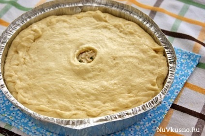 Pite csirke egy mártással bechamel (cake) Pite csirke mártásban besamel