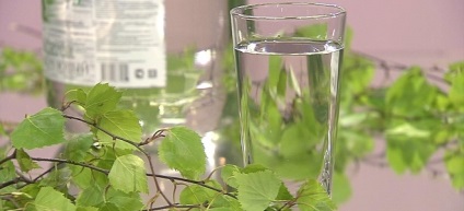 A használata nyírfa nedv, hogy a test (használatára) Használata nyírfa nedv, hogy a test