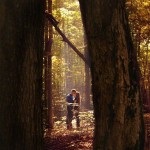 Jelentenek egy fotózásra az erdőben, jelent egy fotózásra az erdőben ősszel