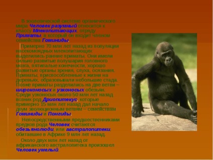 Jelentés benyújtása a személy, mint egy különleges fajta természet (biológia) Jelentés benyújtása a személy, mint egy különleges formája az élővilág