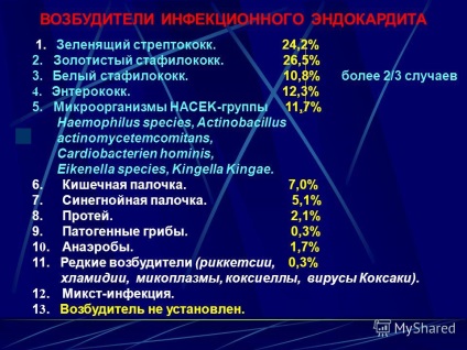 Előadás a fertőzéses szívbelhártya-gyulladás (fő klinikai megnyilvánulásai) Előadás a fertőzéses szívbelhártya-gyulladás