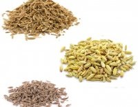 Oregano fűszerekkel, és adjunk hozzá annyi, mint lehet cserélni az ételek (ahol) Oregano fűszerekkel, és adjunk hozzá annyi, mint lehet cserélni az ételek