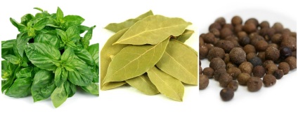 Oregano fűszerekkel, és adjunk hozzá annyi, mint lehet cserélni az ételek (lehetséges) Oregano fűszerekkel, és adjunk hozzá annyi, mint lehet cserélni az ételek