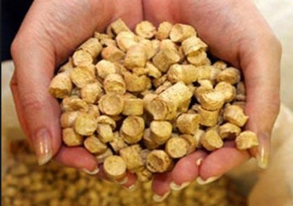 Pellet gyártás (augusztus 2017) (termelés) Pellet gyártása (augusztus 2017)