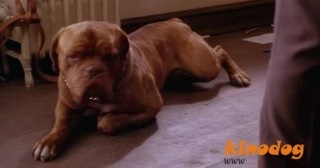 Történetek a filmről Turner és Hooch on (Turner) Történetek a filmről Turner és Hooch on