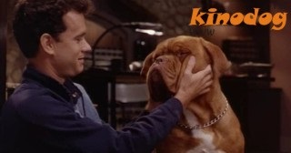 Történetek a Turner & Hooch film (film) Történetek a filmről Turner és Hooch on