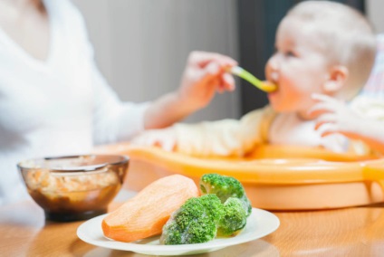 Дитина не їсть м'ясо і рибу що робити і як привчити (думка Комаровського)