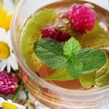 Receptek növényi vitamin teák - kezelőorvosát Aibolit