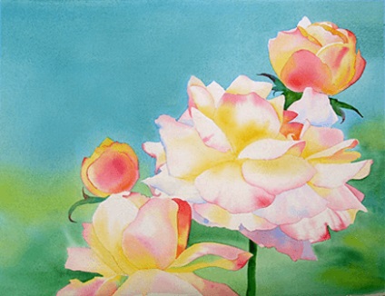 Rajz akvarell rózsák