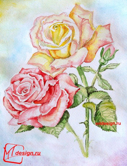 Roses akvarell, mtdesign