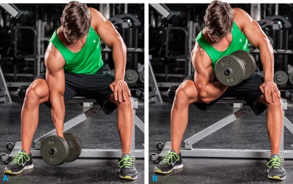 A leghatékonyabb gyakorlatok a bicepsz méretének növelése