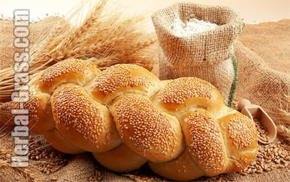 Szezámmag - hasznos tulajdonságai magvak, a használata szezámolaj (szezám) Szezámmag - hasznos tulajdonságai magvak, a használata szezámolaj