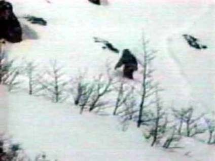 Hóember képek és fotók, leírás Yeti (egy másik dimenzió) Hóember képek és fotók, leírás Yeti