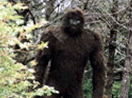 Hóember képek és fotók, leírás Yeti (egy másik dimenzió) Hóember képek és fotók, leírás Yeti