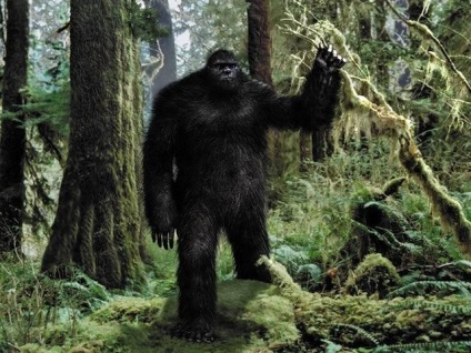 Hóember képek és fotók, leírás Yeti (Abominable Hóember) Hóember képek és fotók, leírás Yeti